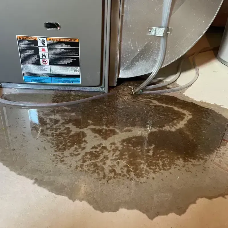 Appliance Leak Cleanup in Nicholasville, KY